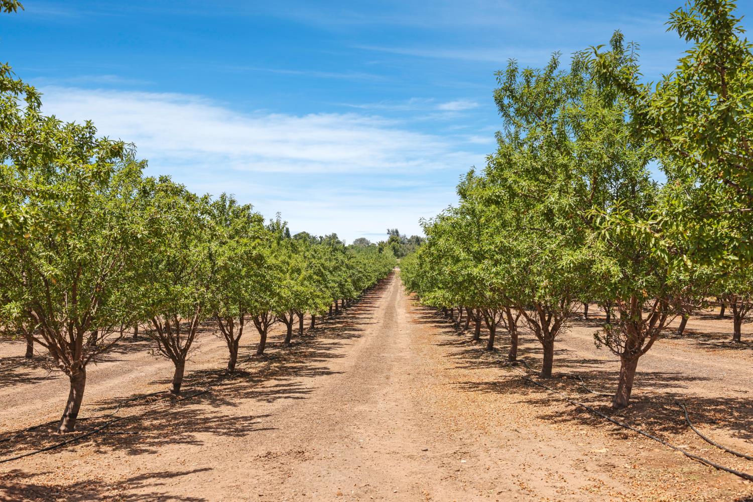 0 Morrison Rd, Oakdale, CA 95361