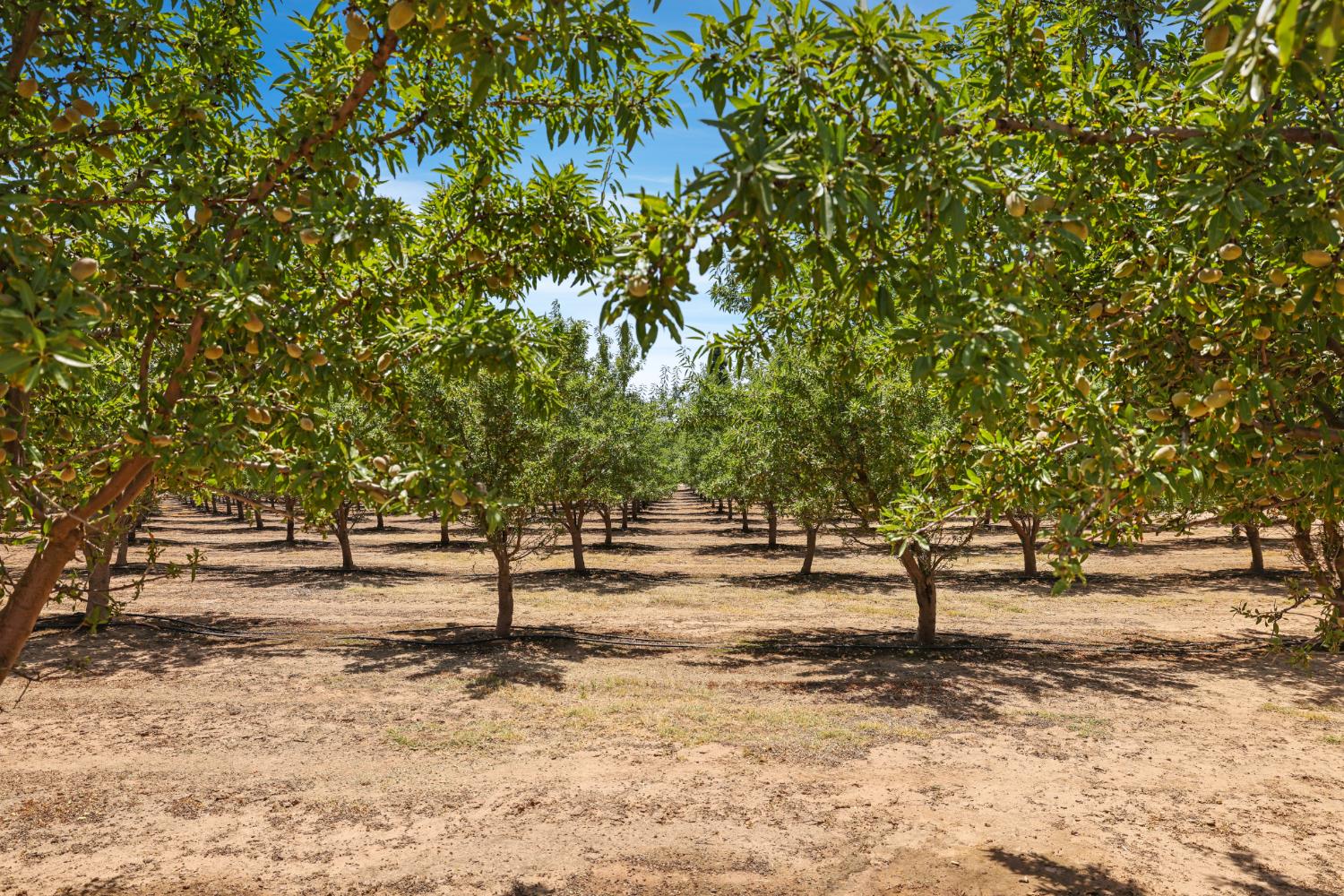 0 Morrison Rd, Oakdale, CA 95361