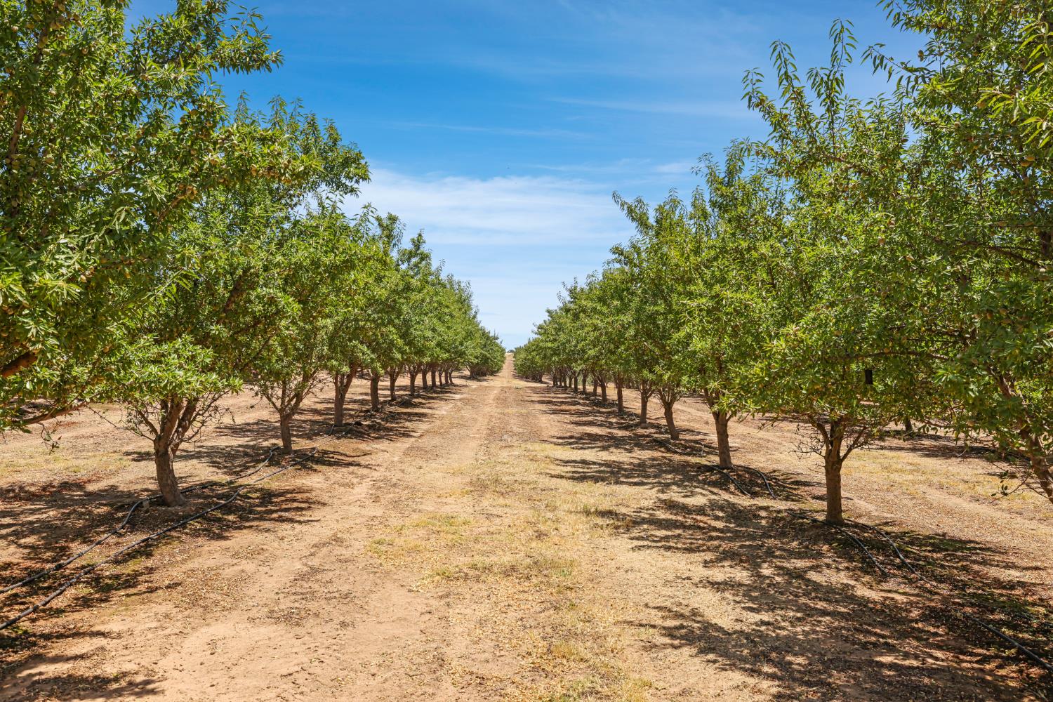 0 Morrison Rd, Oakdale, CA 95361