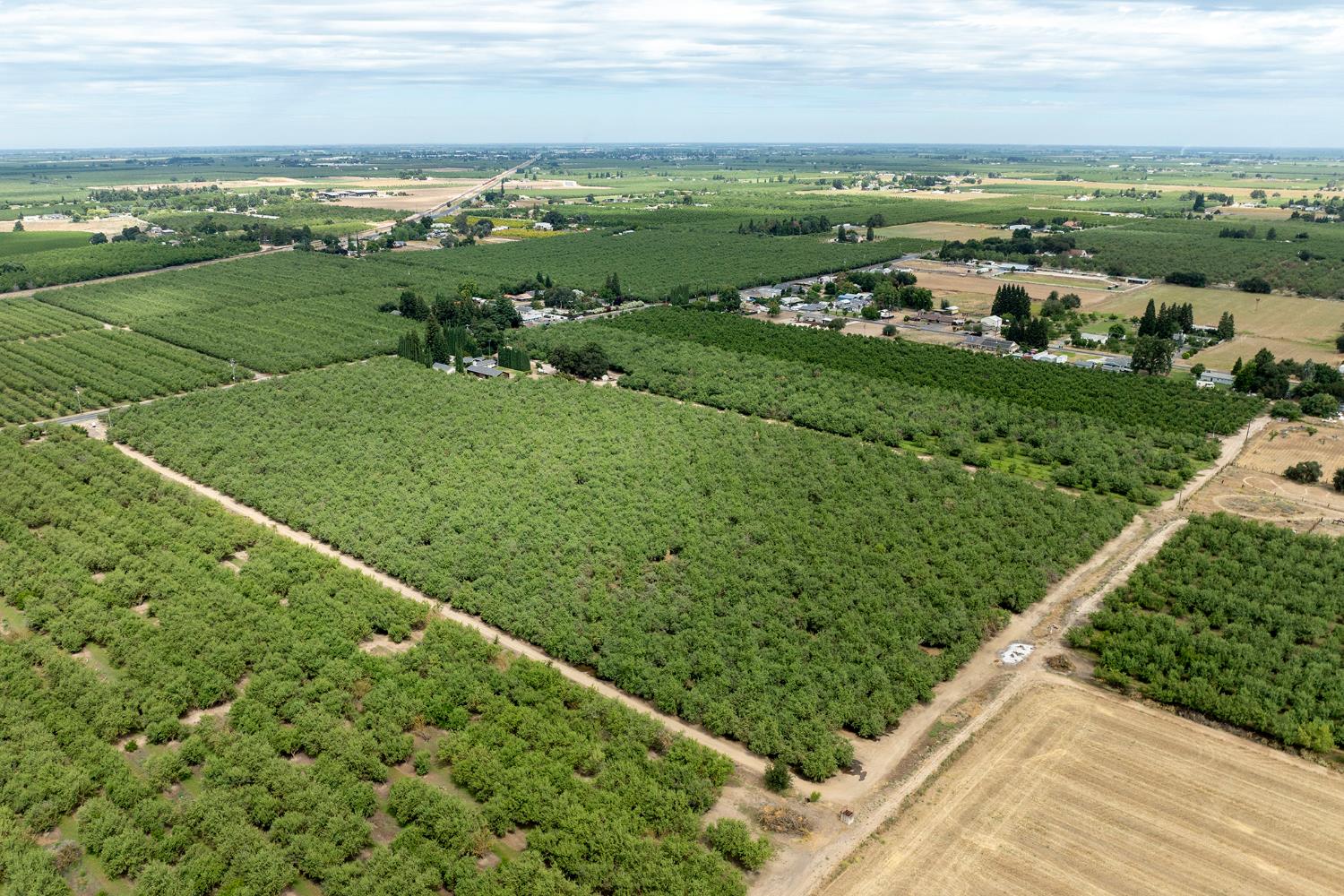 22342 Henry Rd, Escalon, CA 95320
