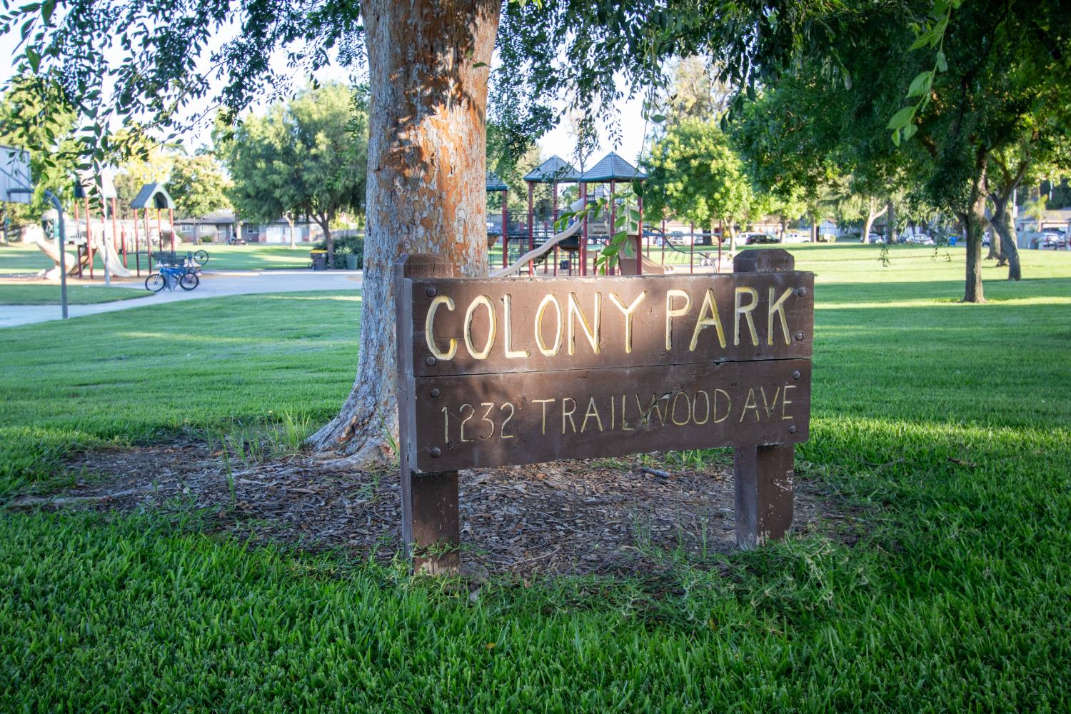 1166 Trailwood Ave, Manteca, CA 95336