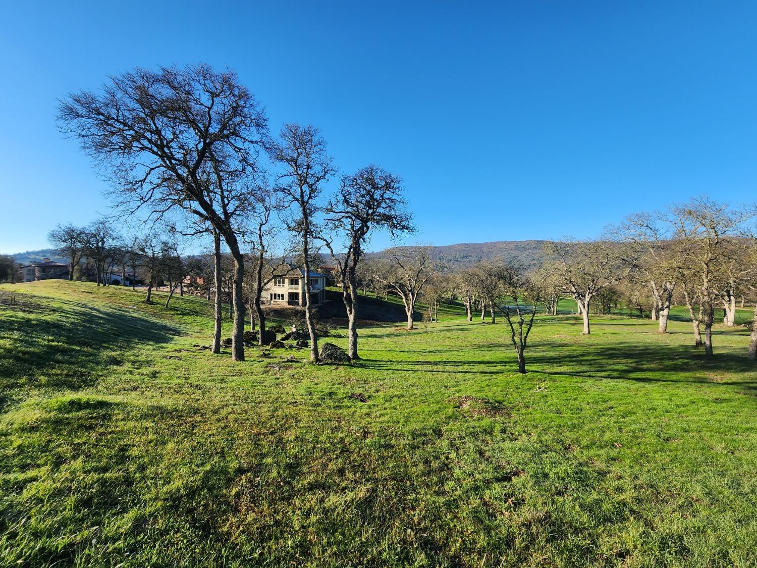 1013 Knolls Dr, Copperopolis, CA 95228