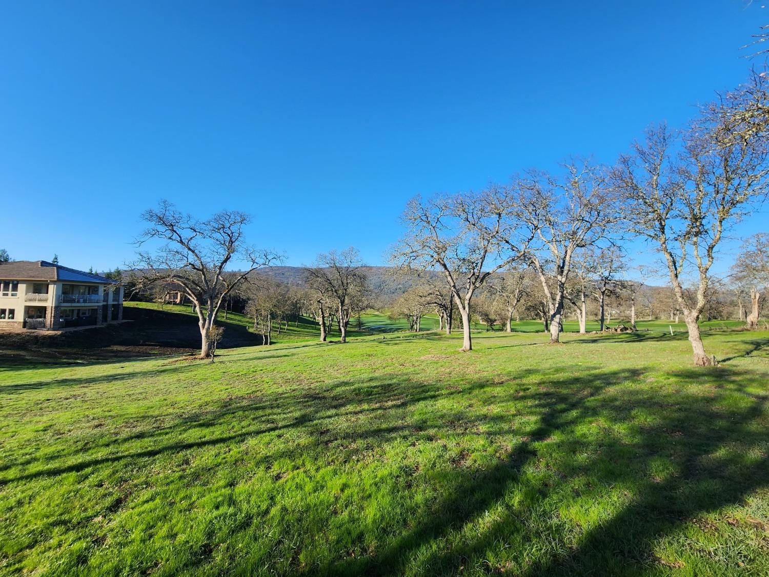 1013 Knolls Dr, Copperopolis, CA 95228