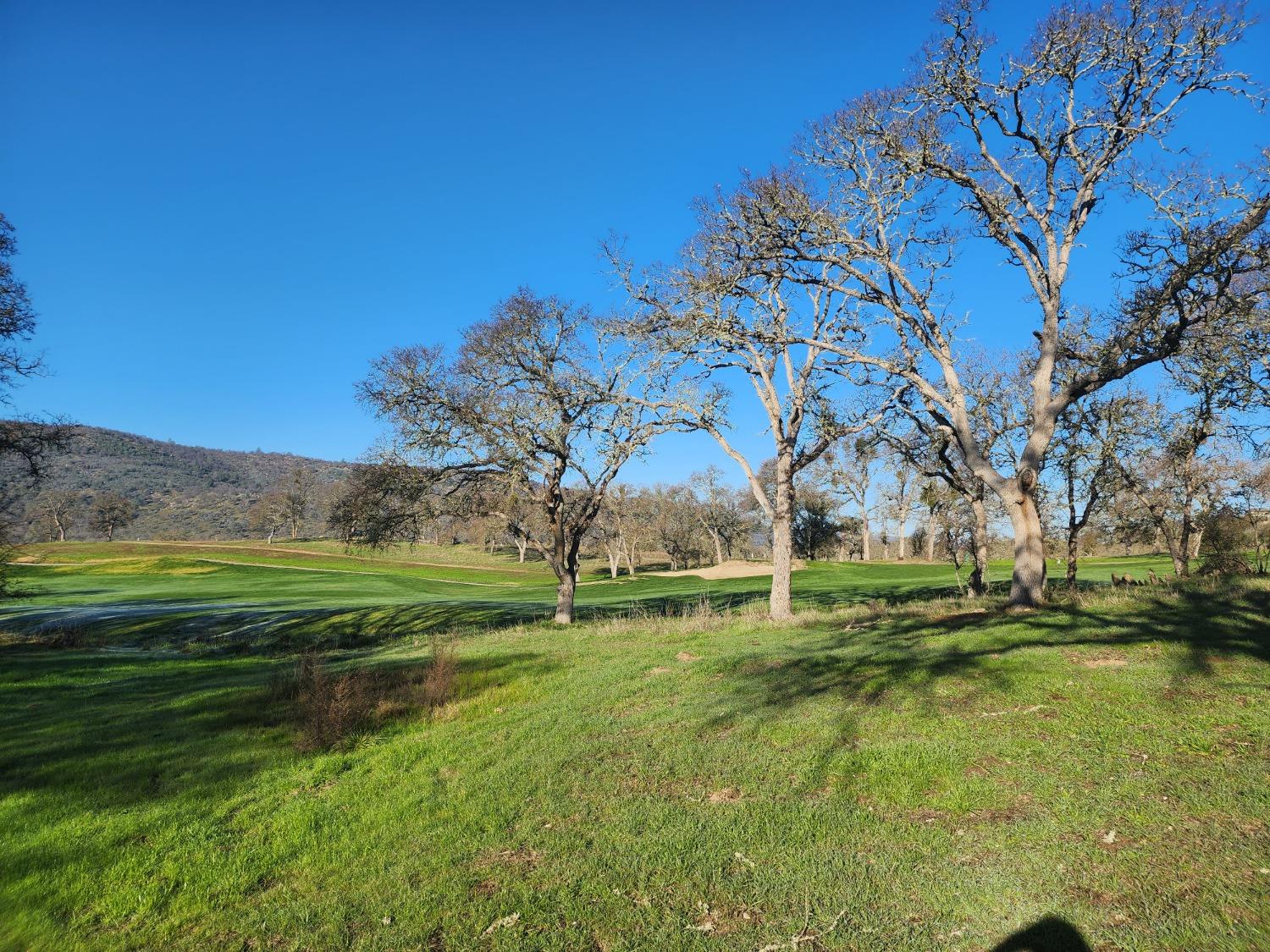 1013 Knolls Dr, Copperopolis, CA 95228