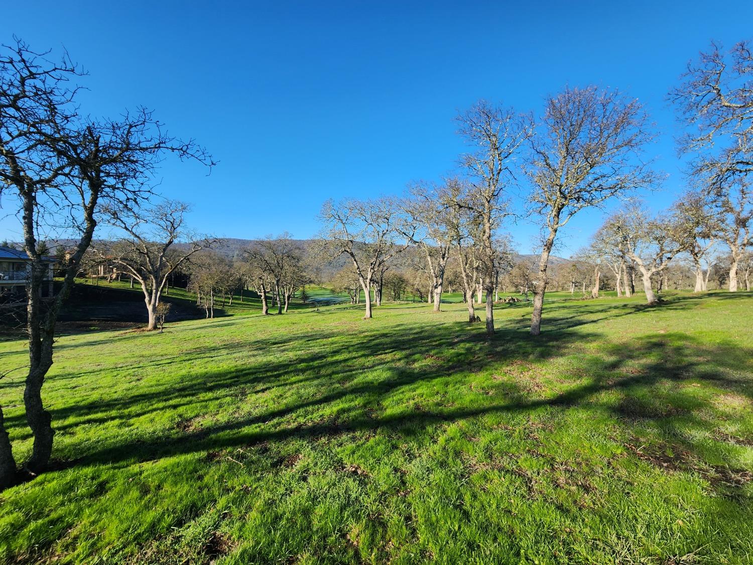 1013 Knolls Dr, Copperopolis, CA 95228