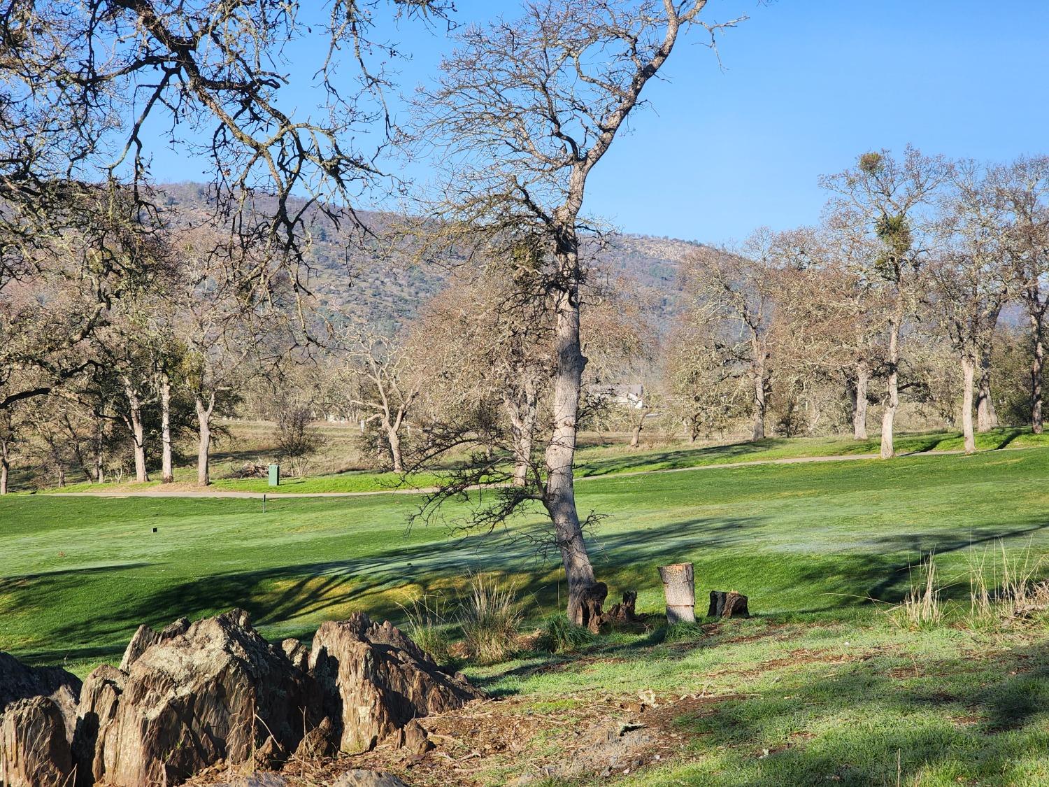 1013 Knolls Dr, Copperopolis, CA 95228