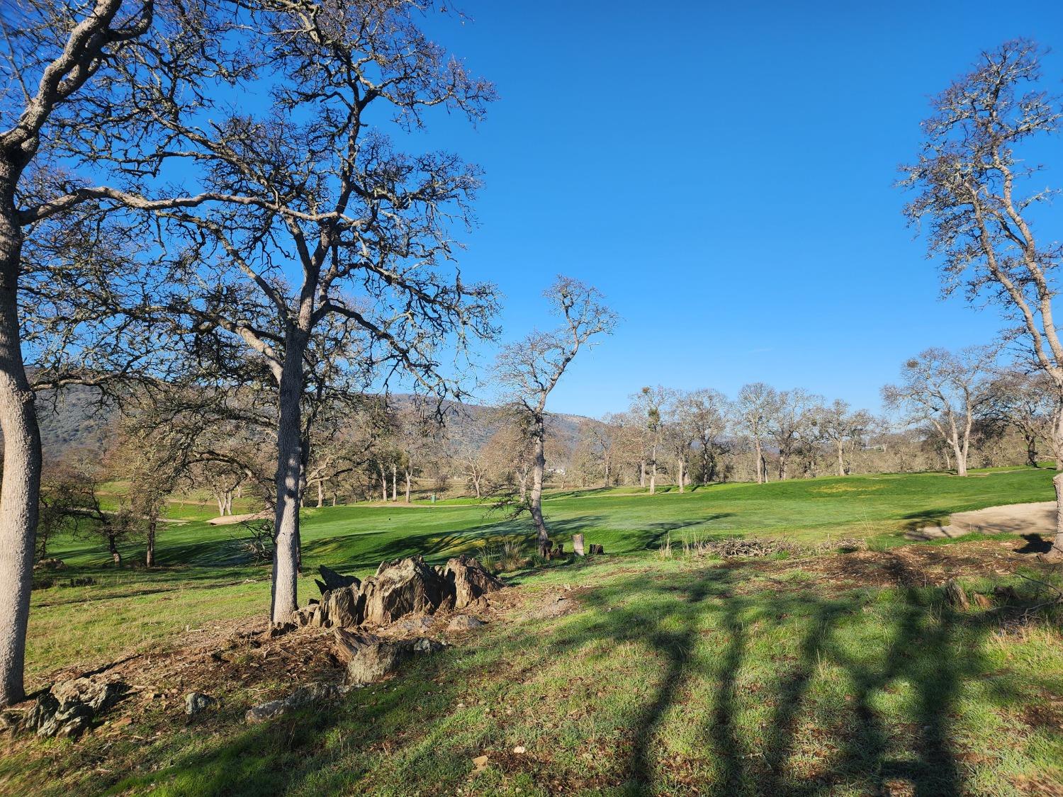 1013 Knolls Dr, Copperopolis, CA 95228