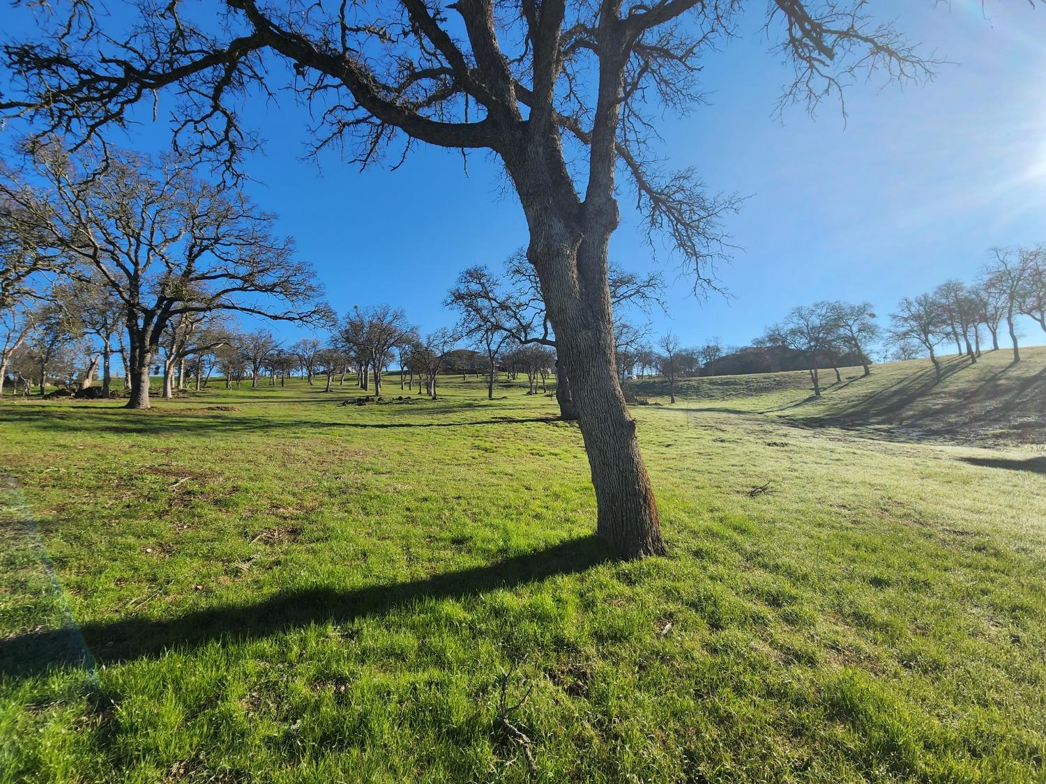 1013 Knolls Dr, Copperopolis, CA 95228