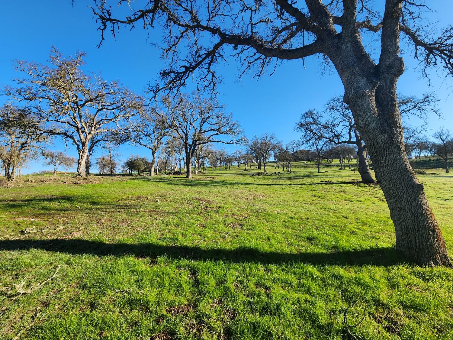 1013 Knolls Dr, Copperopolis, CA 95228
