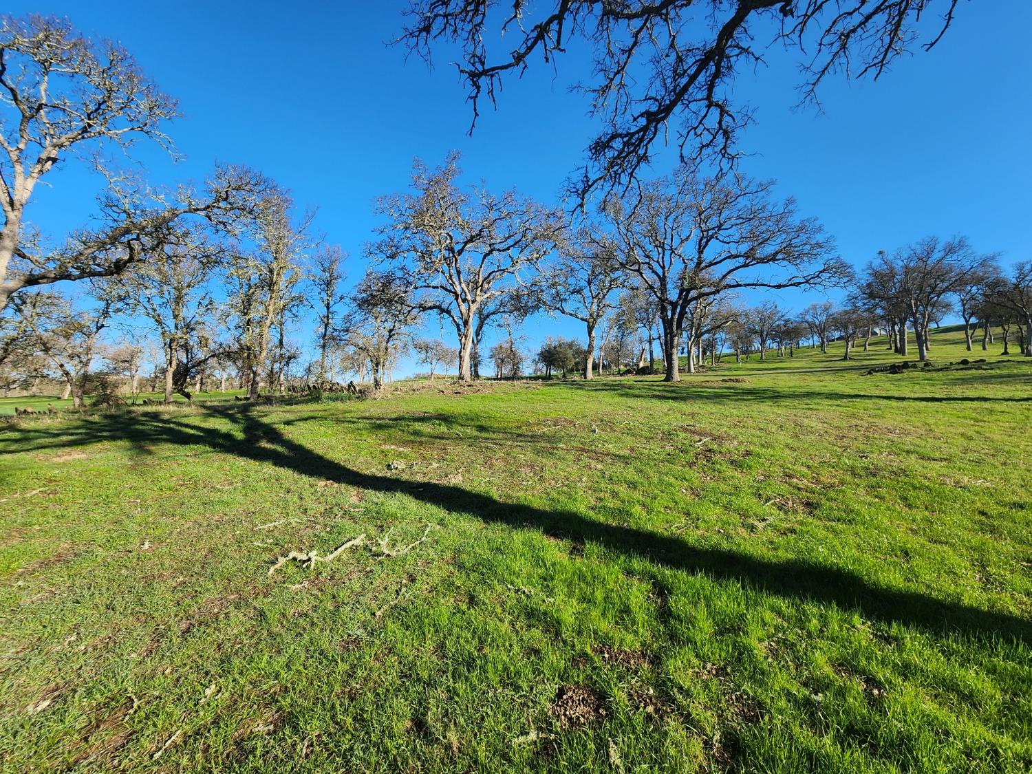 1013 Knolls Dr, Copperopolis, CA 95228