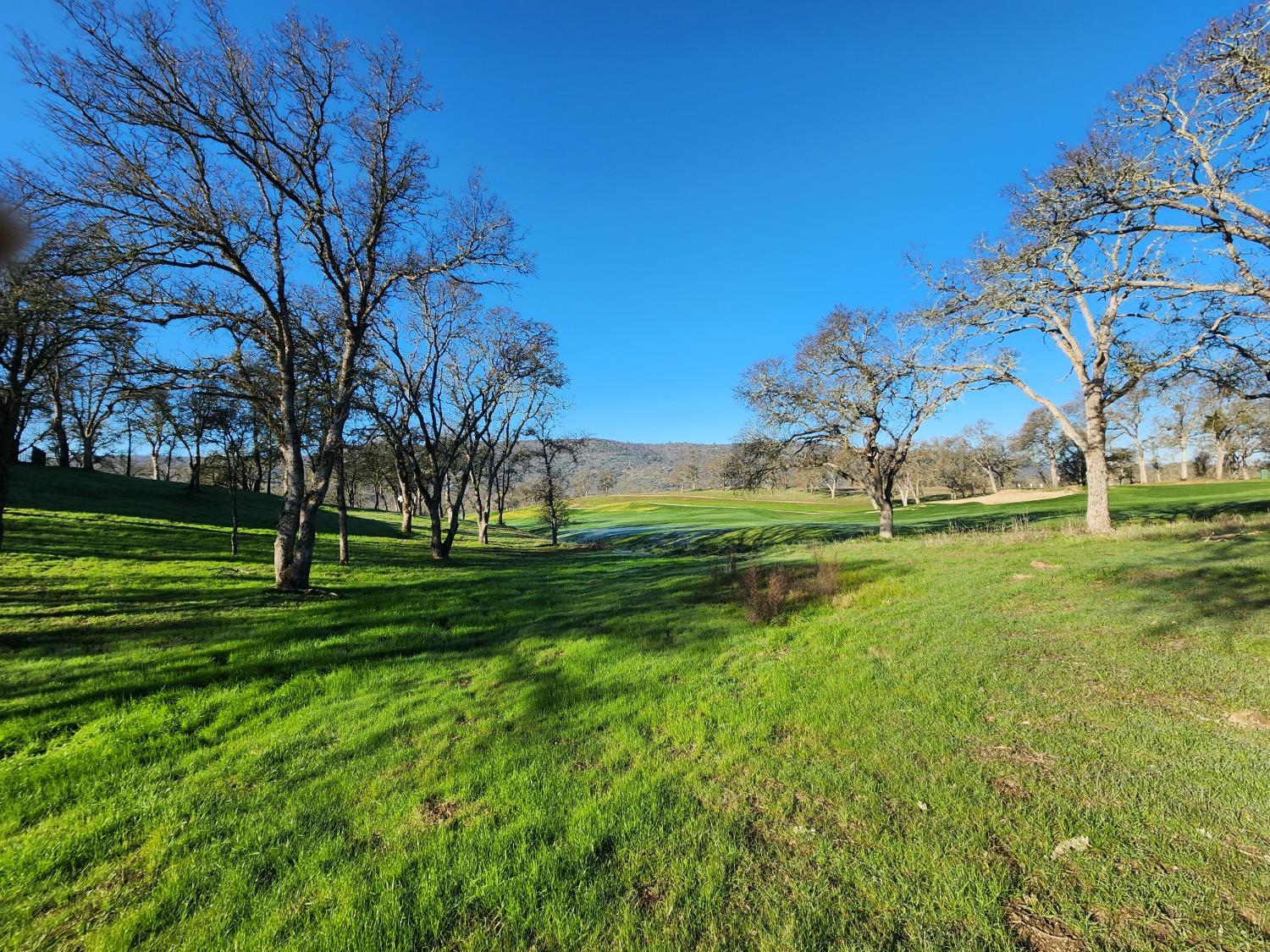 1013 Knolls Dr, Copperopolis, CA 95228
