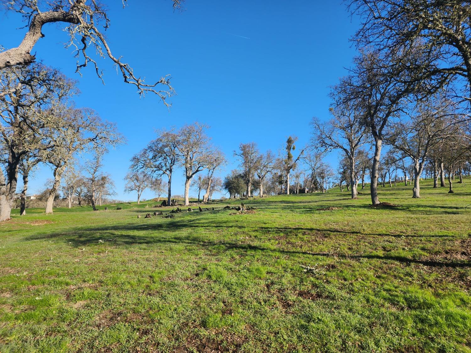 1013 Knolls Dr, Copperopolis, CA 95228