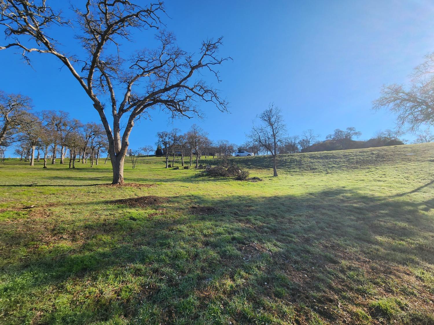 1013 Knolls Dr, Copperopolis, CA 95228
