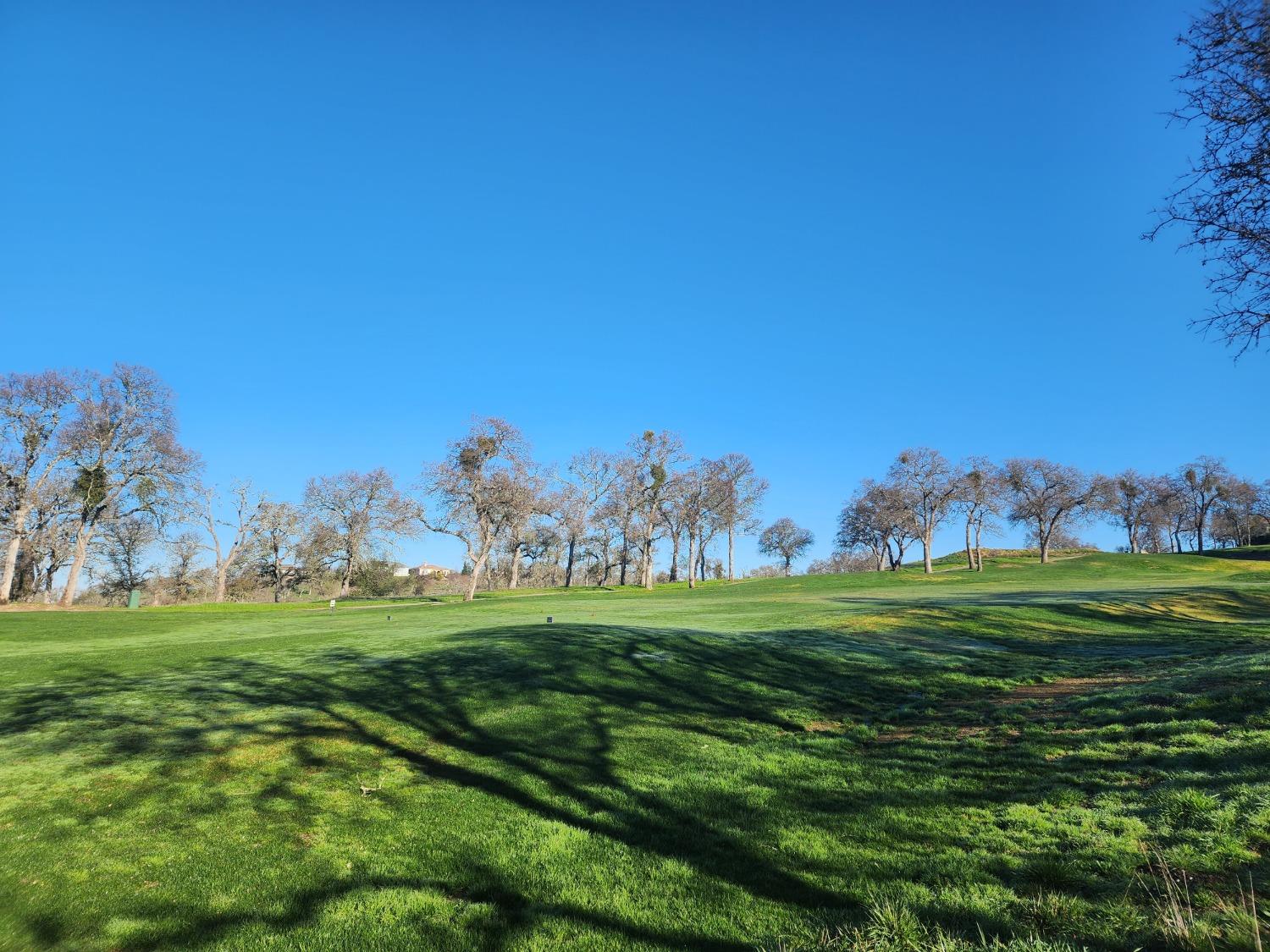 1013 Knolls Dr, Copperopolis, CA 95228