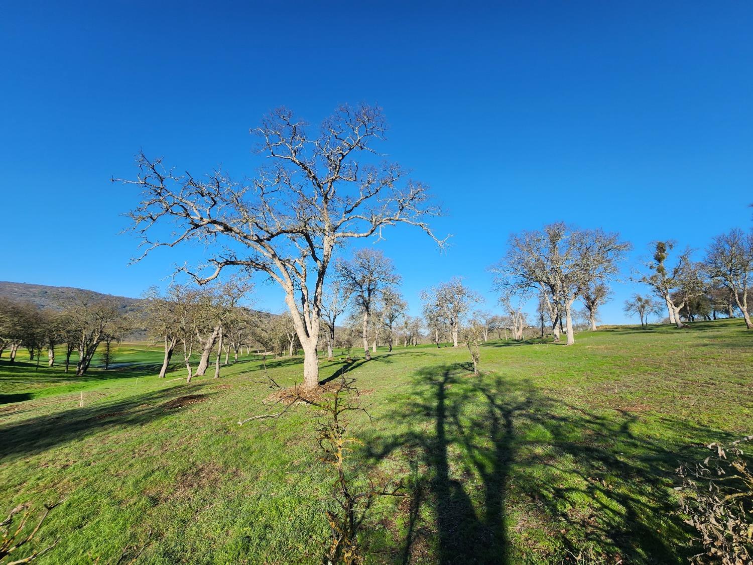 1013 Knolls Dr, Copperopolis, CA 95228