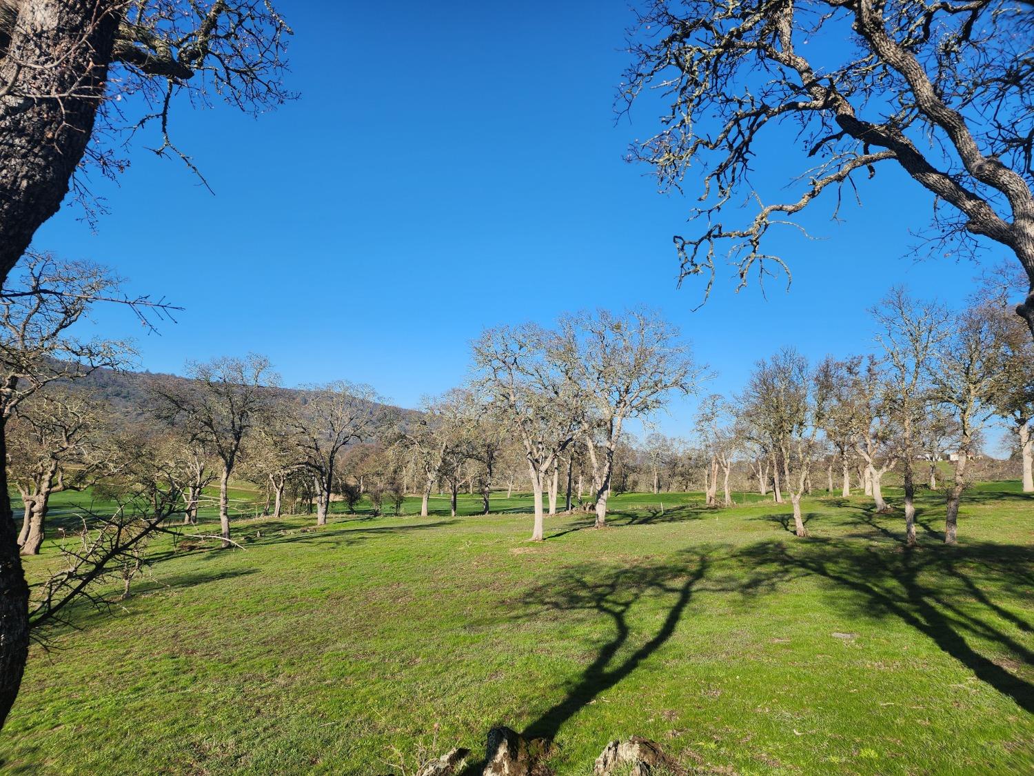 1013 Knolls Dr, Copperopolis, CA 95228