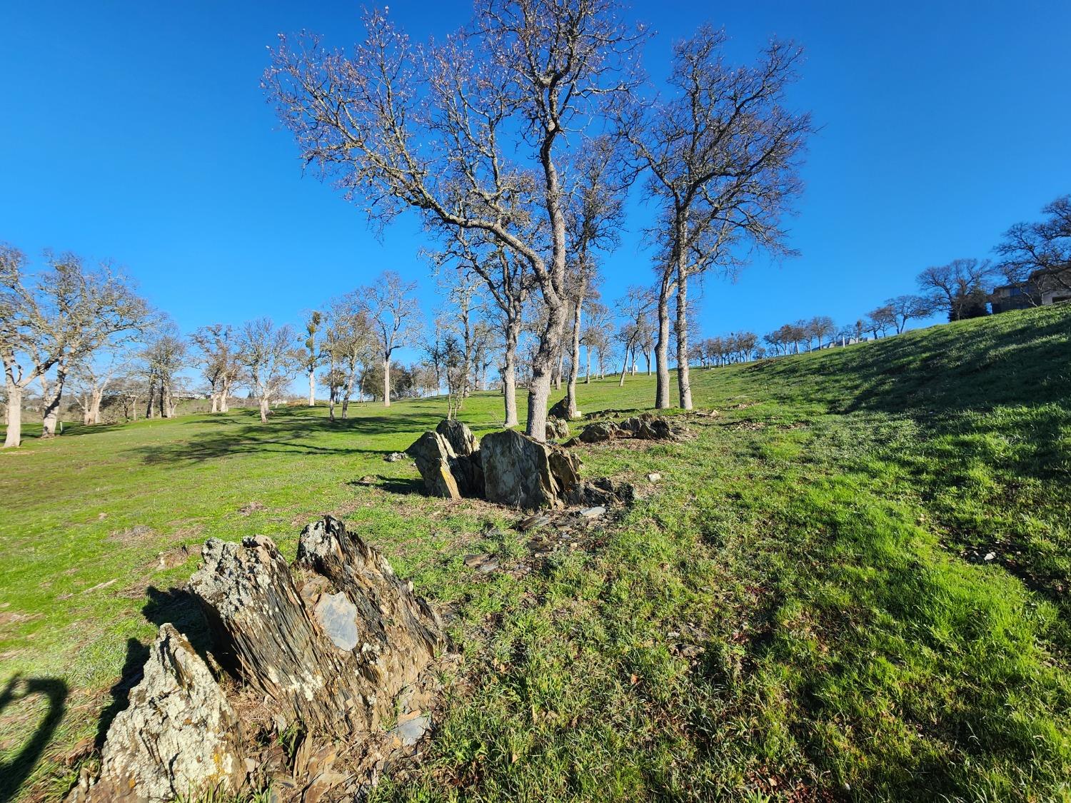 1013 Knolls Dr, Copperopolis, CA 95228