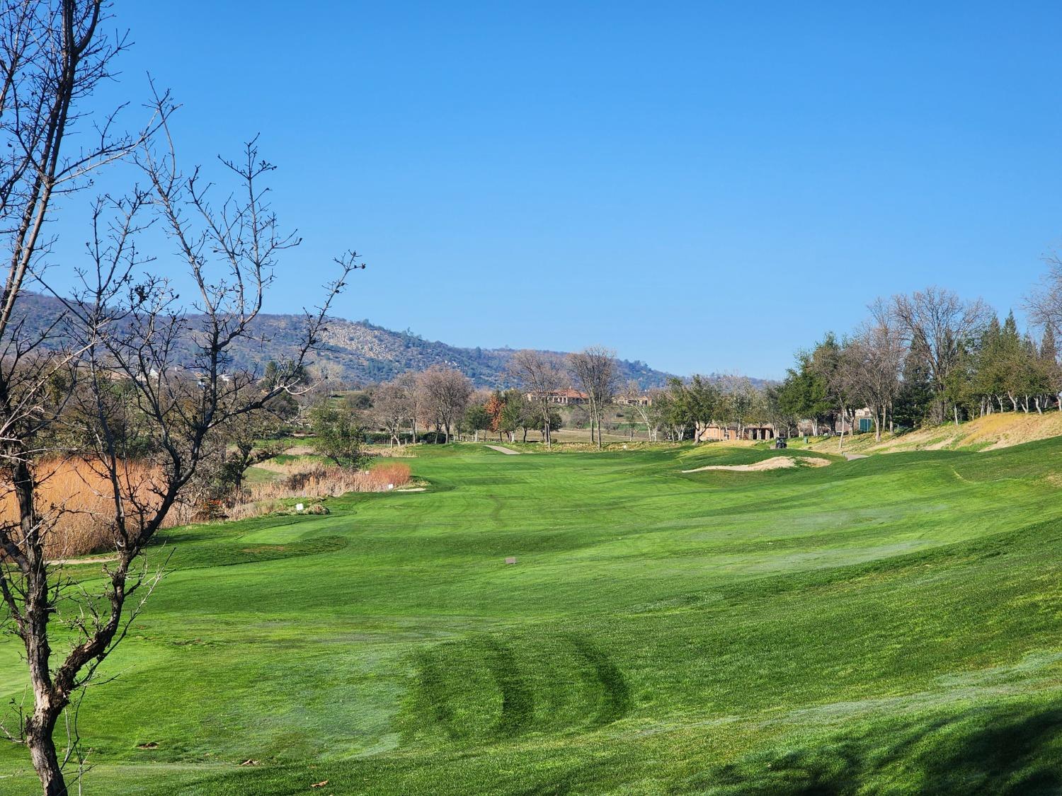 1013 Knolls Dr, Copperopolis, CA 95228