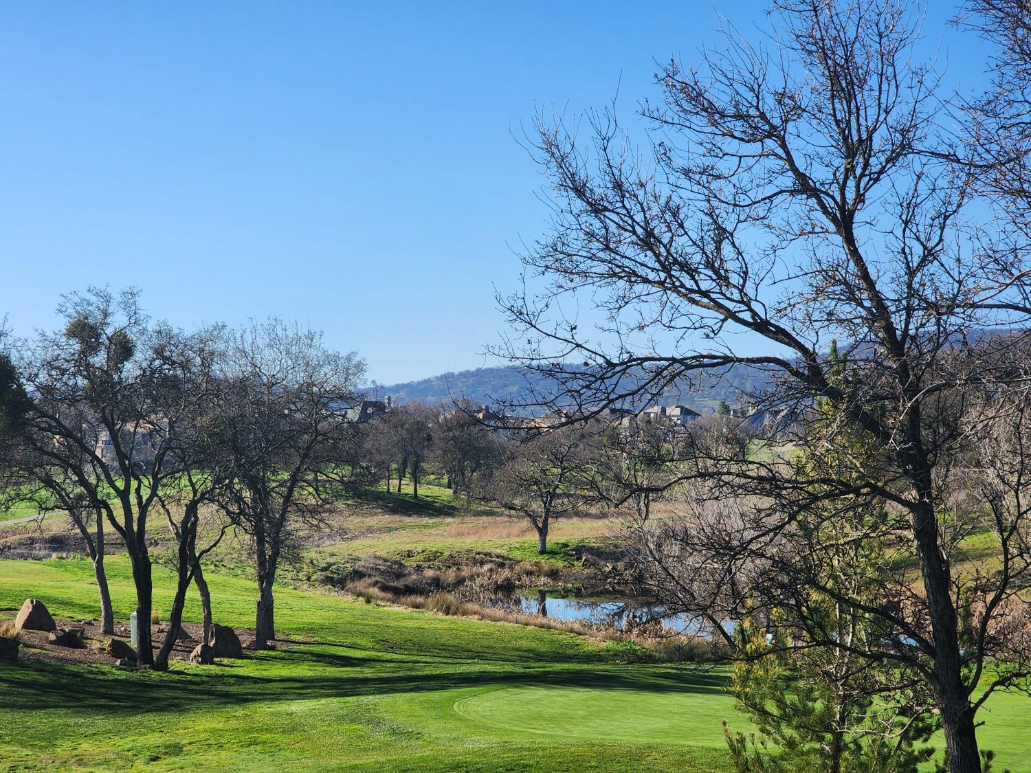 1013 Knolls Dr, Copperopolis, CA 95228