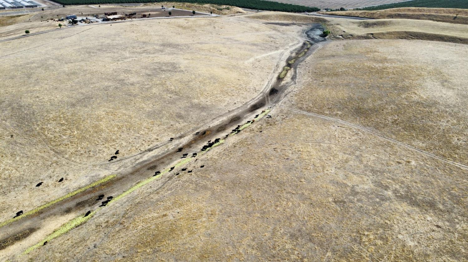 0 Orestimba Rd, Newman, CA 95360