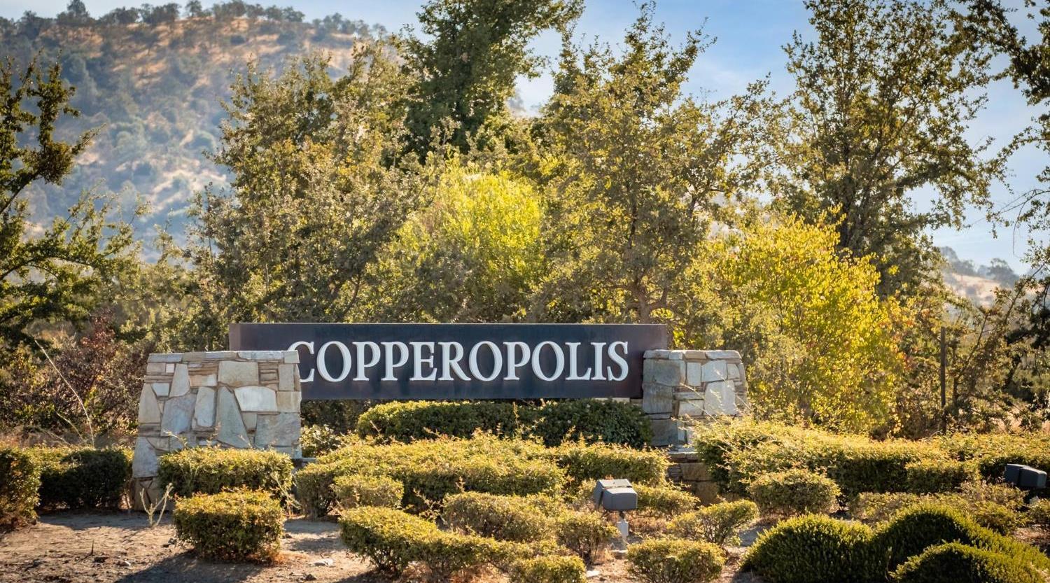 572 Poker Flat Rd, Copperopolis, CA 95228
