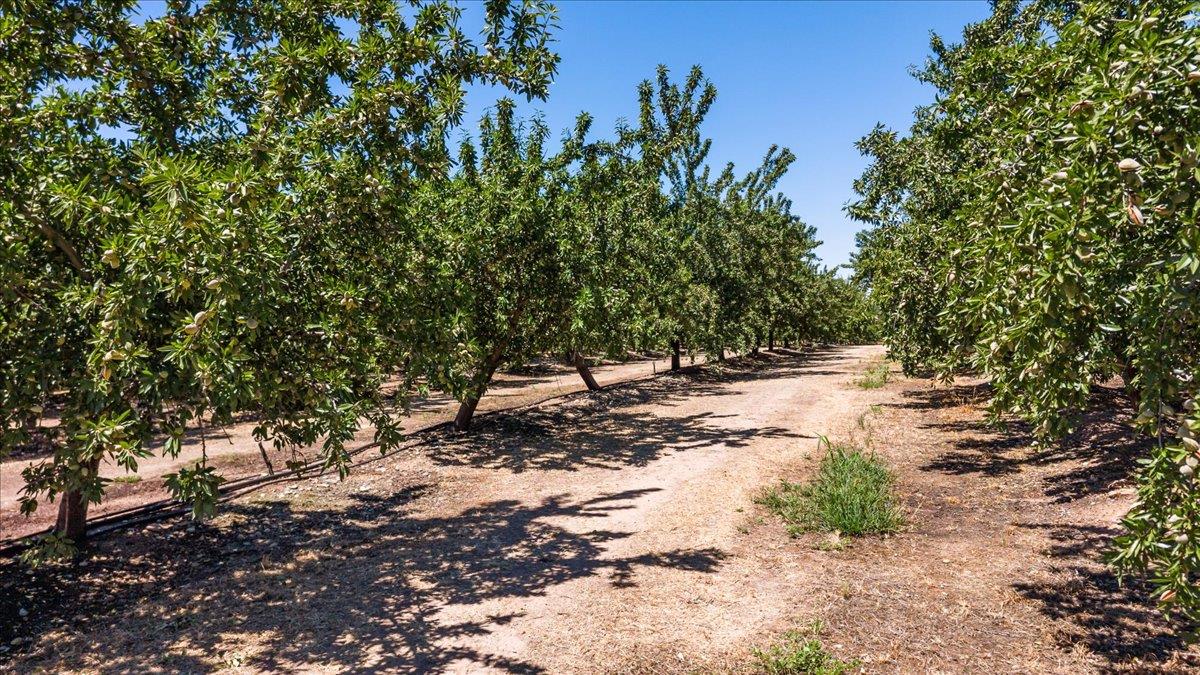 5907 Crow Rd, Oakdale, CA 95361