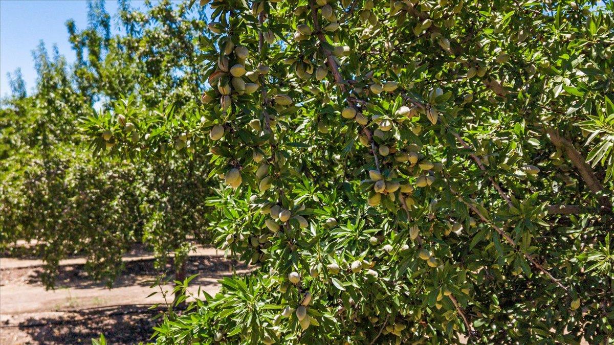 5907 Crow Rd, Oakdale, CA 95361