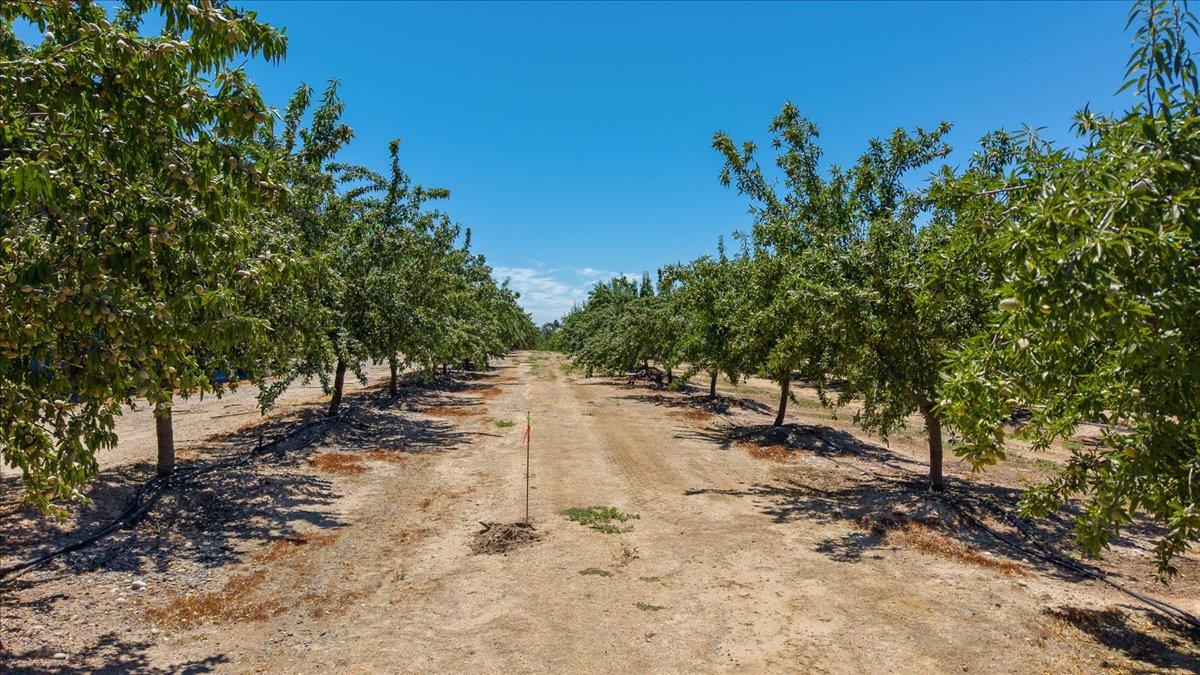 5737 Crow Rd, Oakdale, CA 95361
