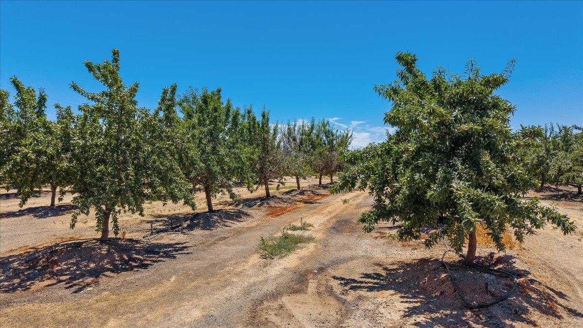 5737 Crow Rd, Oakdale, CA 95361