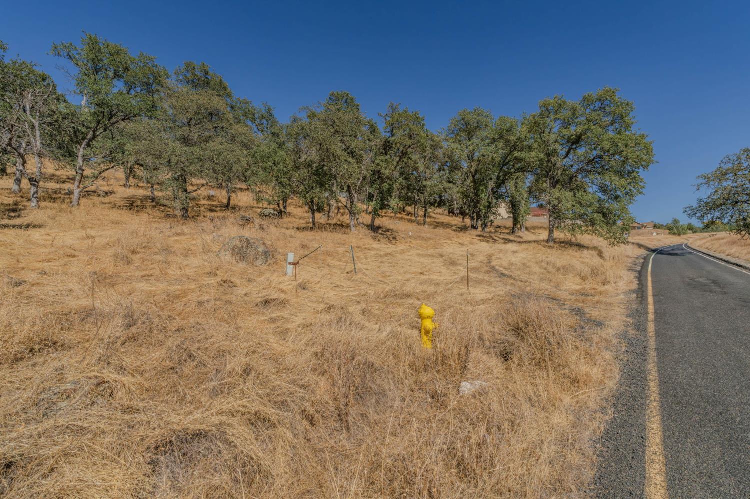 2205 Arrowhead St, Copperopolis, CA 95228