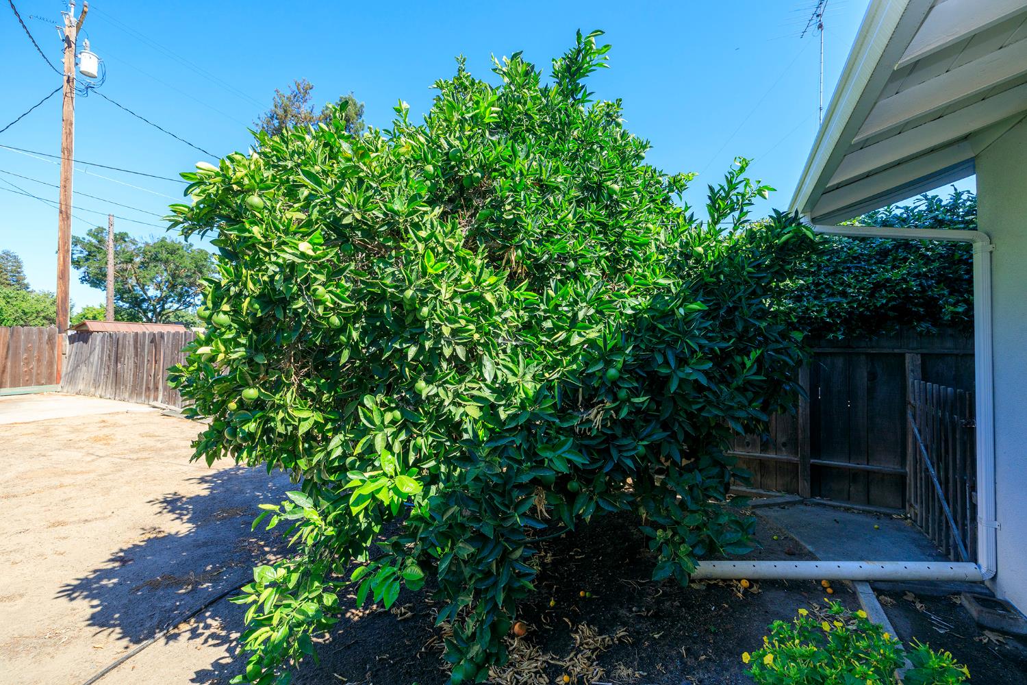 1317 Wallin Way, Modesto, CA 95351