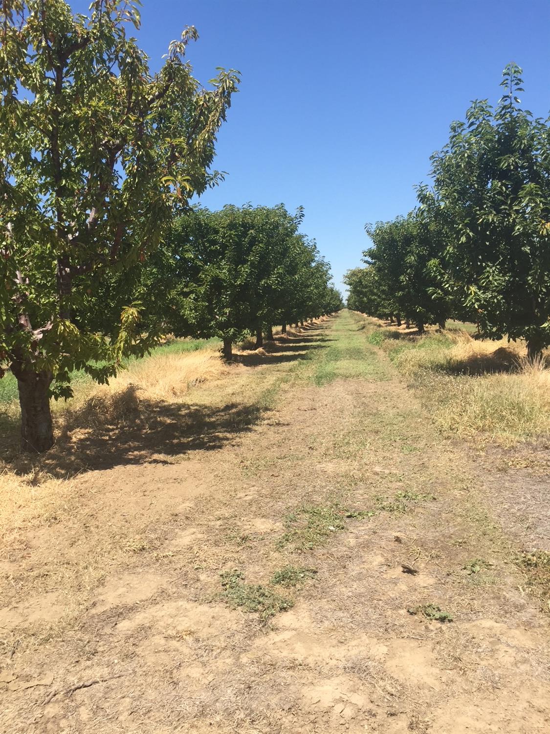 1099 Lemon Ave, Patterson, CA 95363
