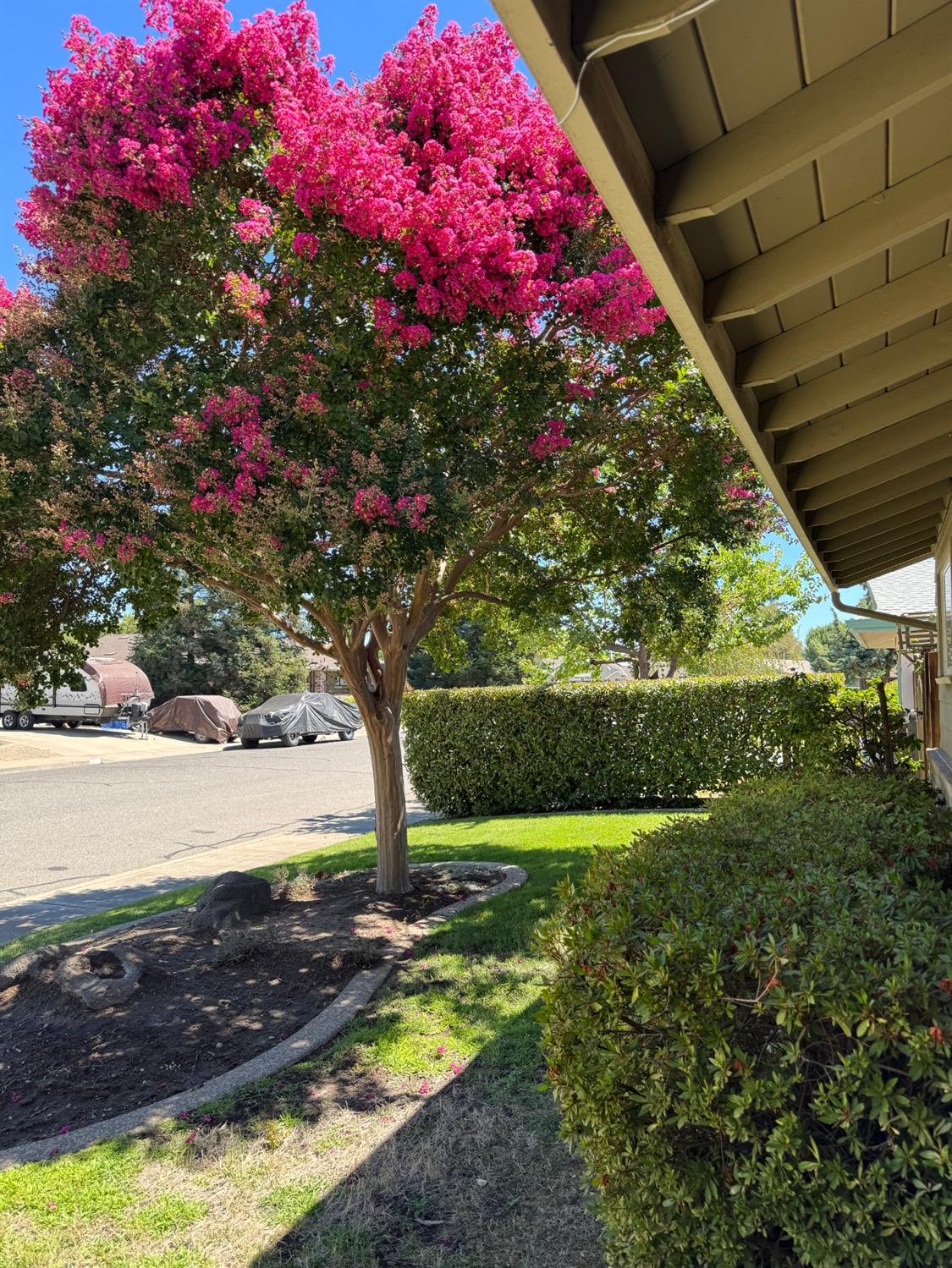 1677 Poplar St, Oakdale, CA 95361