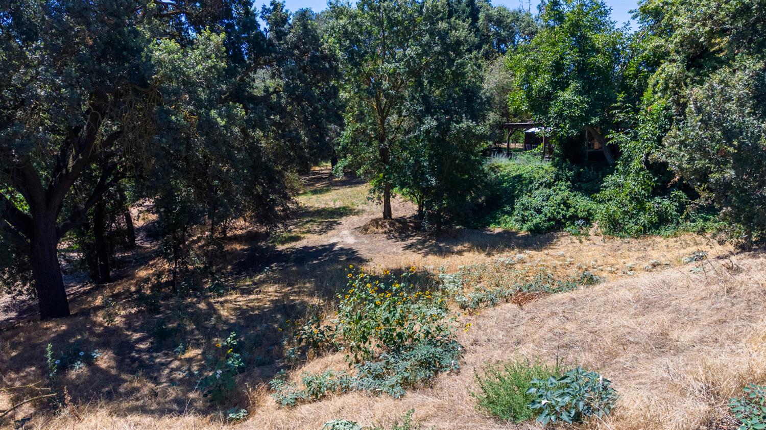 7824 Mchenry Ave, Modesto, CA 95356