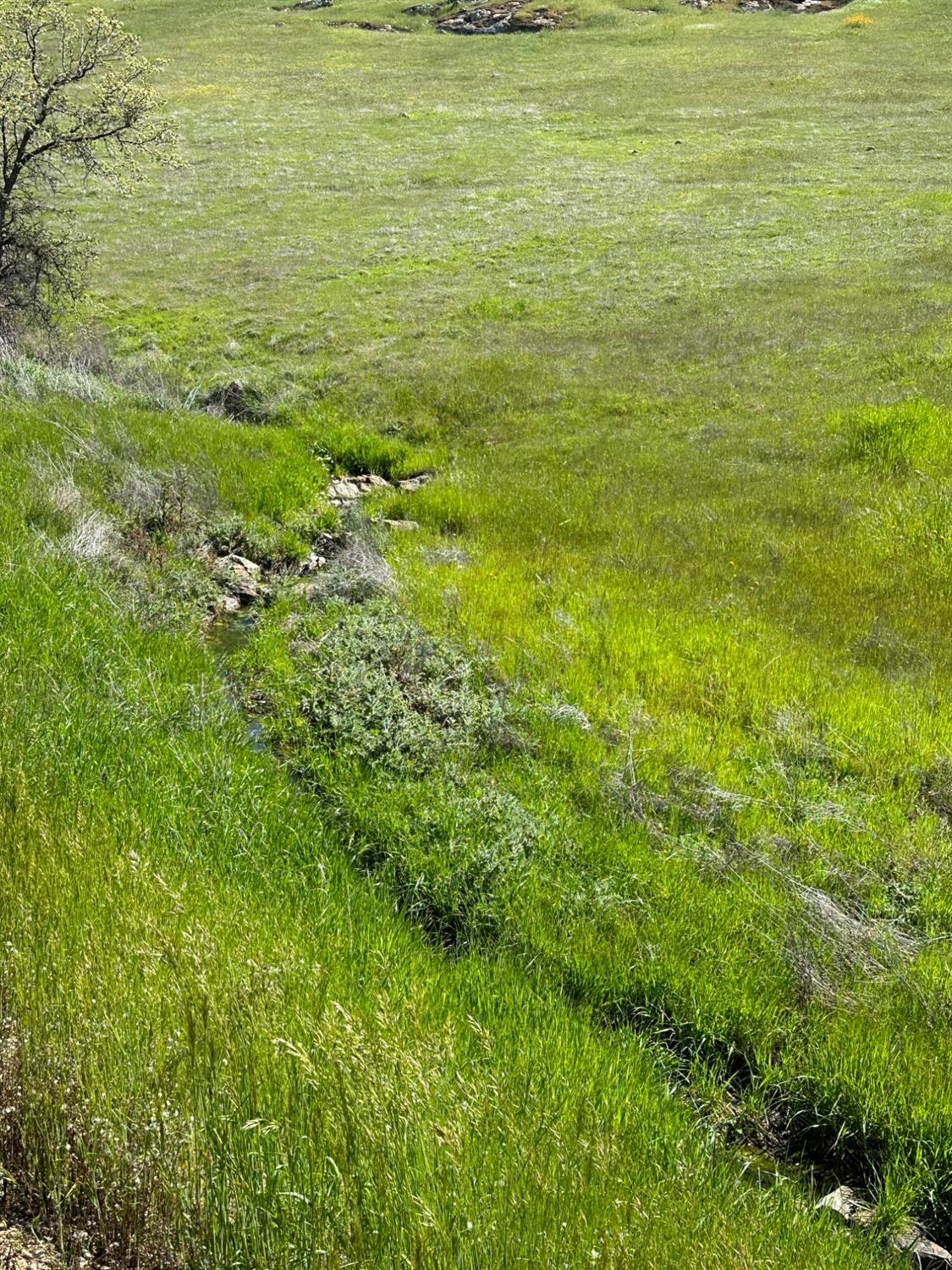 9898 Alamo Dr, La Grange, CA 95329