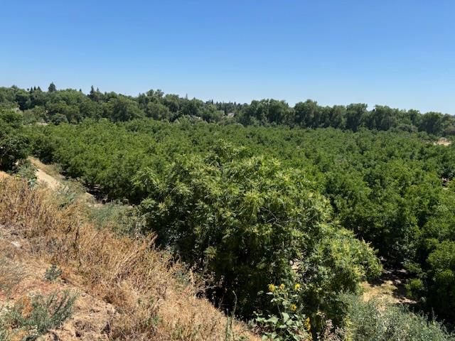 0 0 Jackson Rd, Oakdale, CA 95361