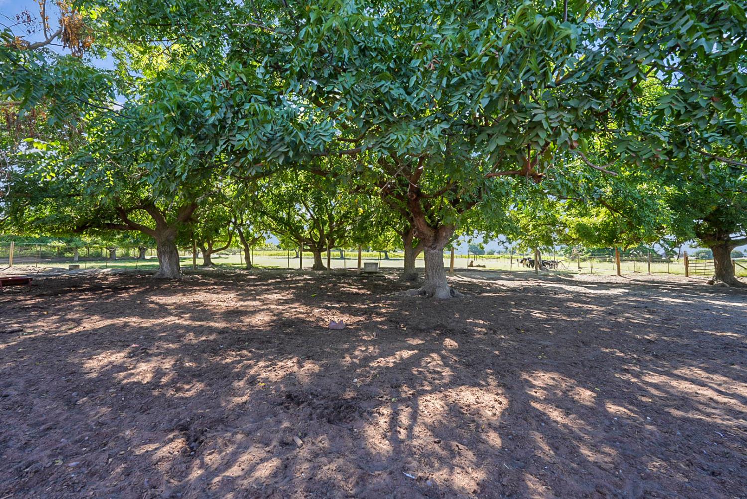 237 241 Leek Rd, Modesto, CA 95357