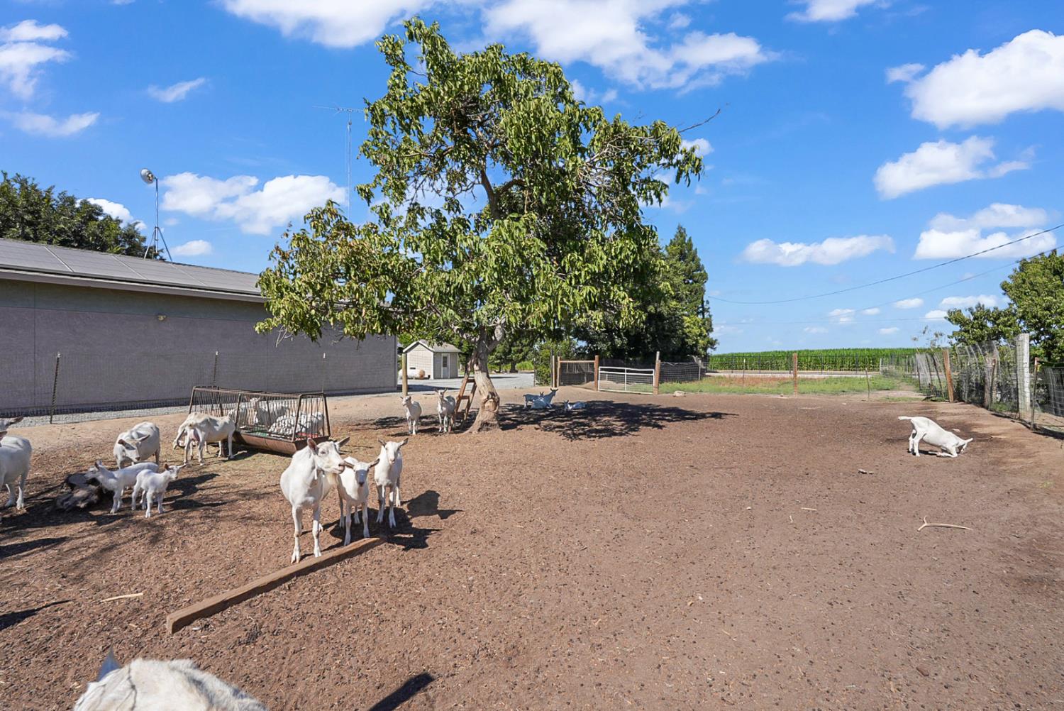 237 241 Leek Rd, Modesto, CA 95357