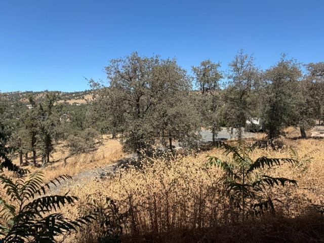 13480 Salinas St, La Grange, CA 95329
