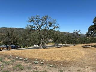 147 Vista Knolls Ct, Copperopolis, CA 95228