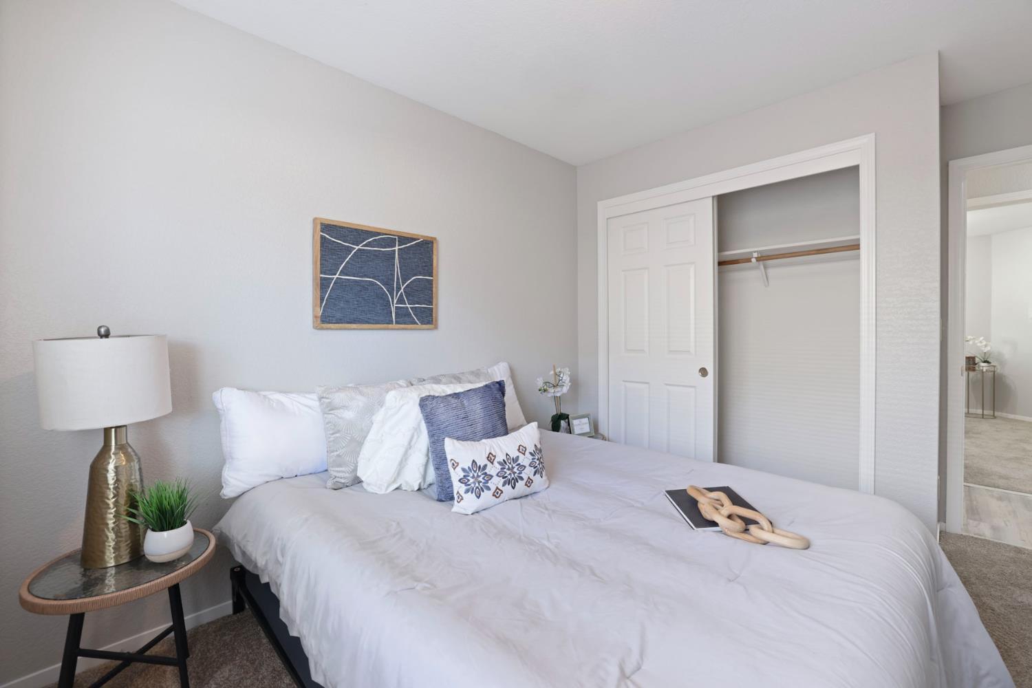 232 Ruess, Ripon, CA 95366