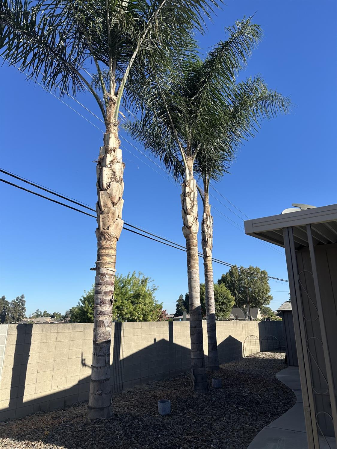 19960 American Ave #55, Hilmar, CA 95324