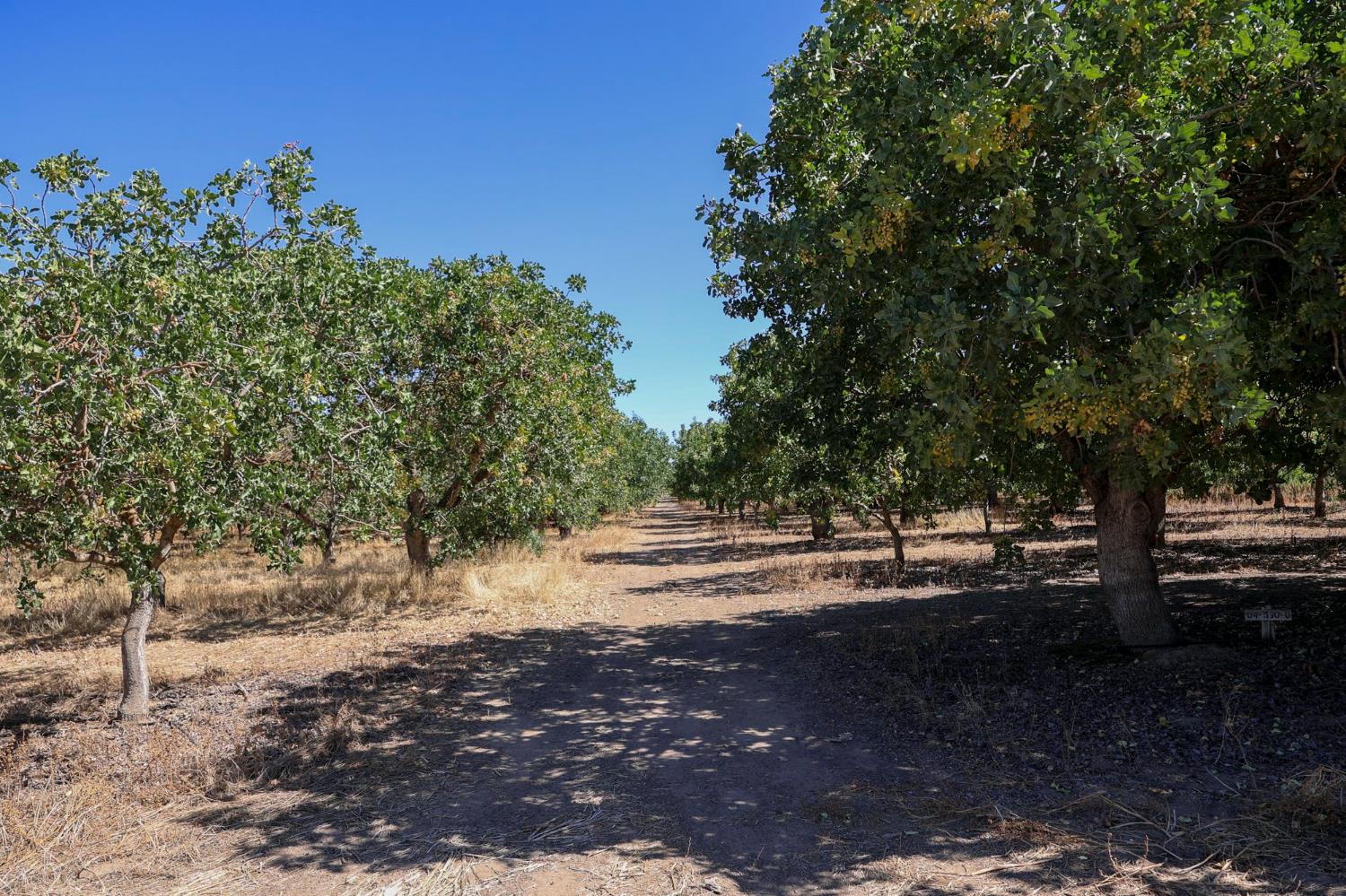 0 Avenue 20 1/2, Madera, CA 93638