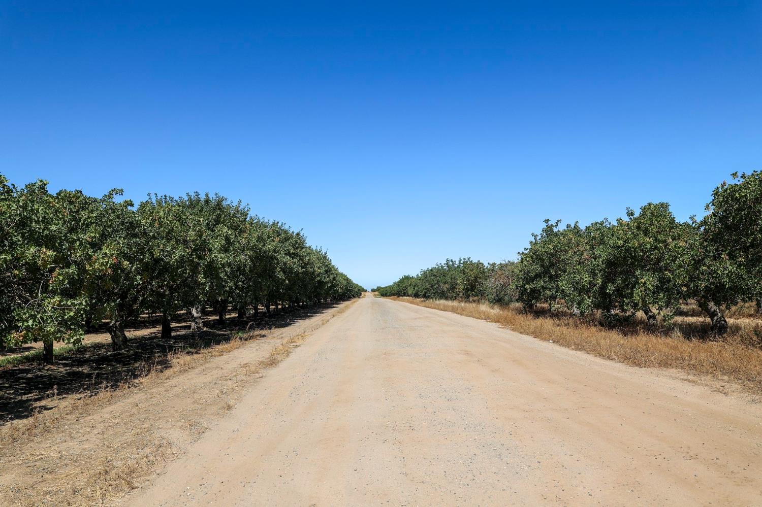 0 Avenue 20 1/2, Madera, CA 93638