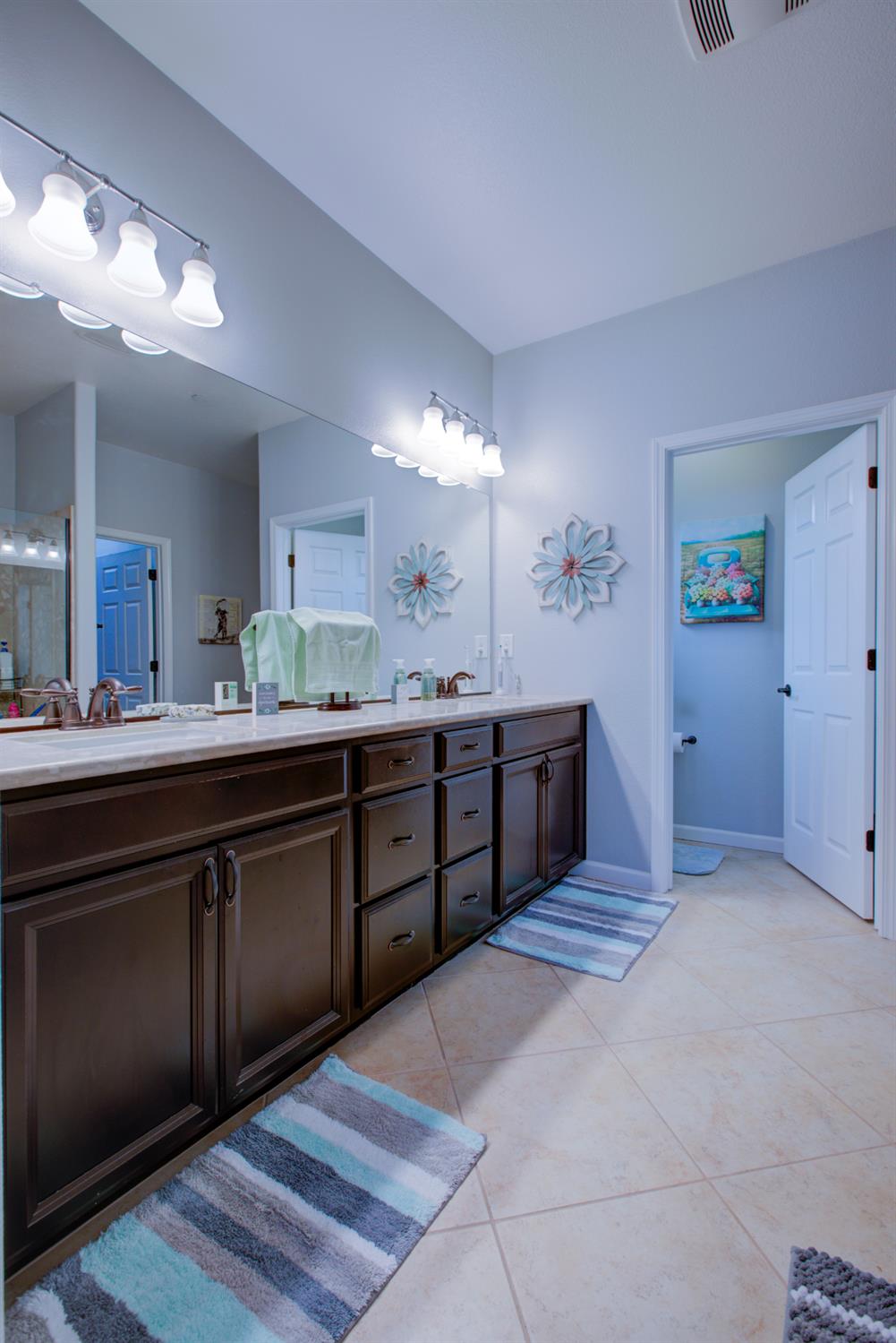 1390 Arbor Brook Dr, Manteca, CA 95336