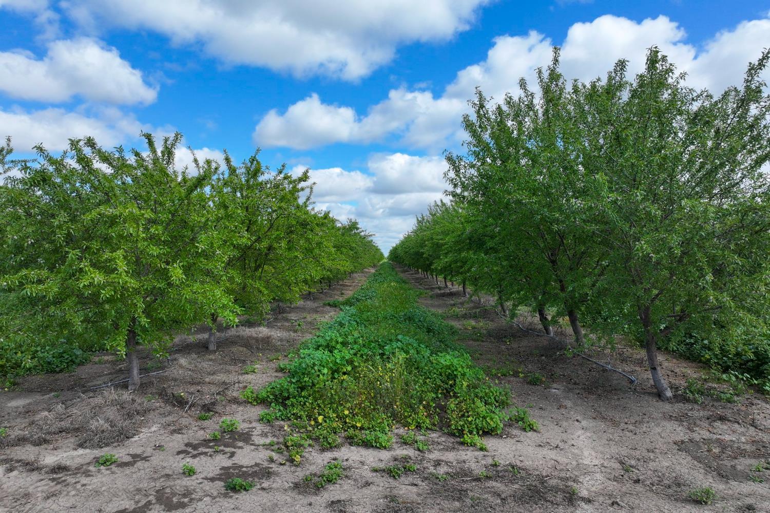 1389 S Bert Crane Rd, Atwater, CA 95301