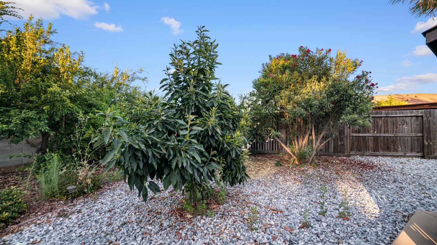 3931 Aplicella Ct, Manteca, CA 95337