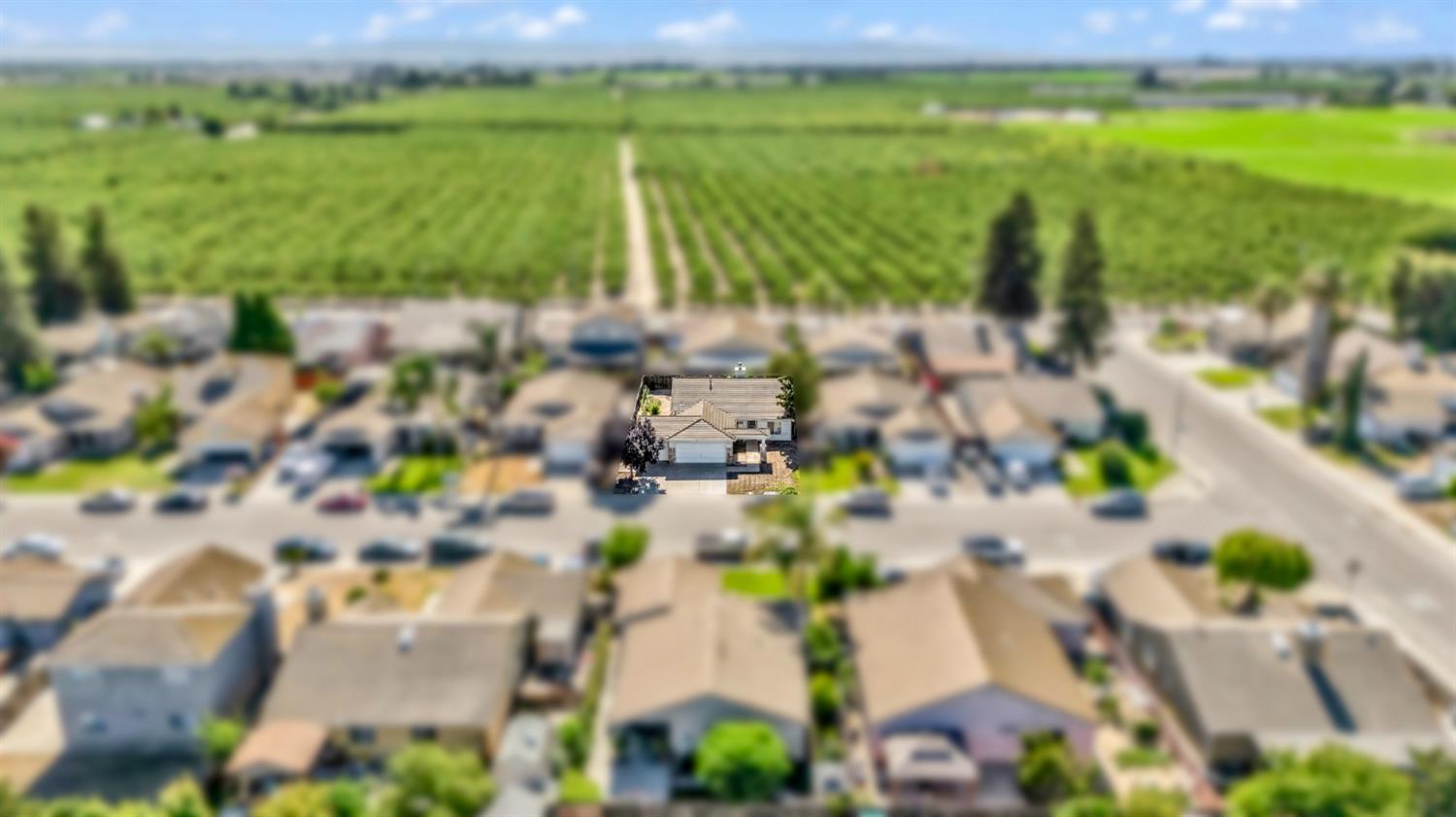 10141 Tracy Ln, Delhi, CA 95315