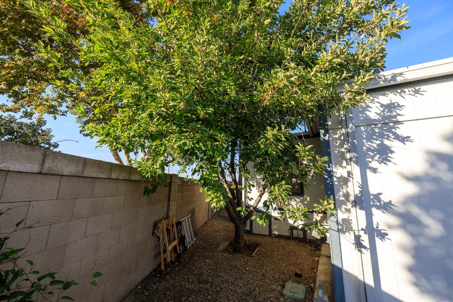 1500 Held #10, Modesto, CA 95355