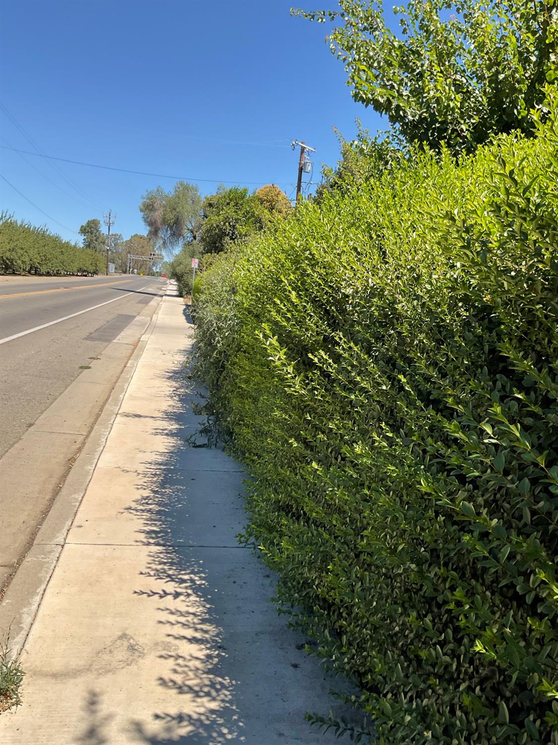 303 Plainsburg Rd, Planada, CA 95365